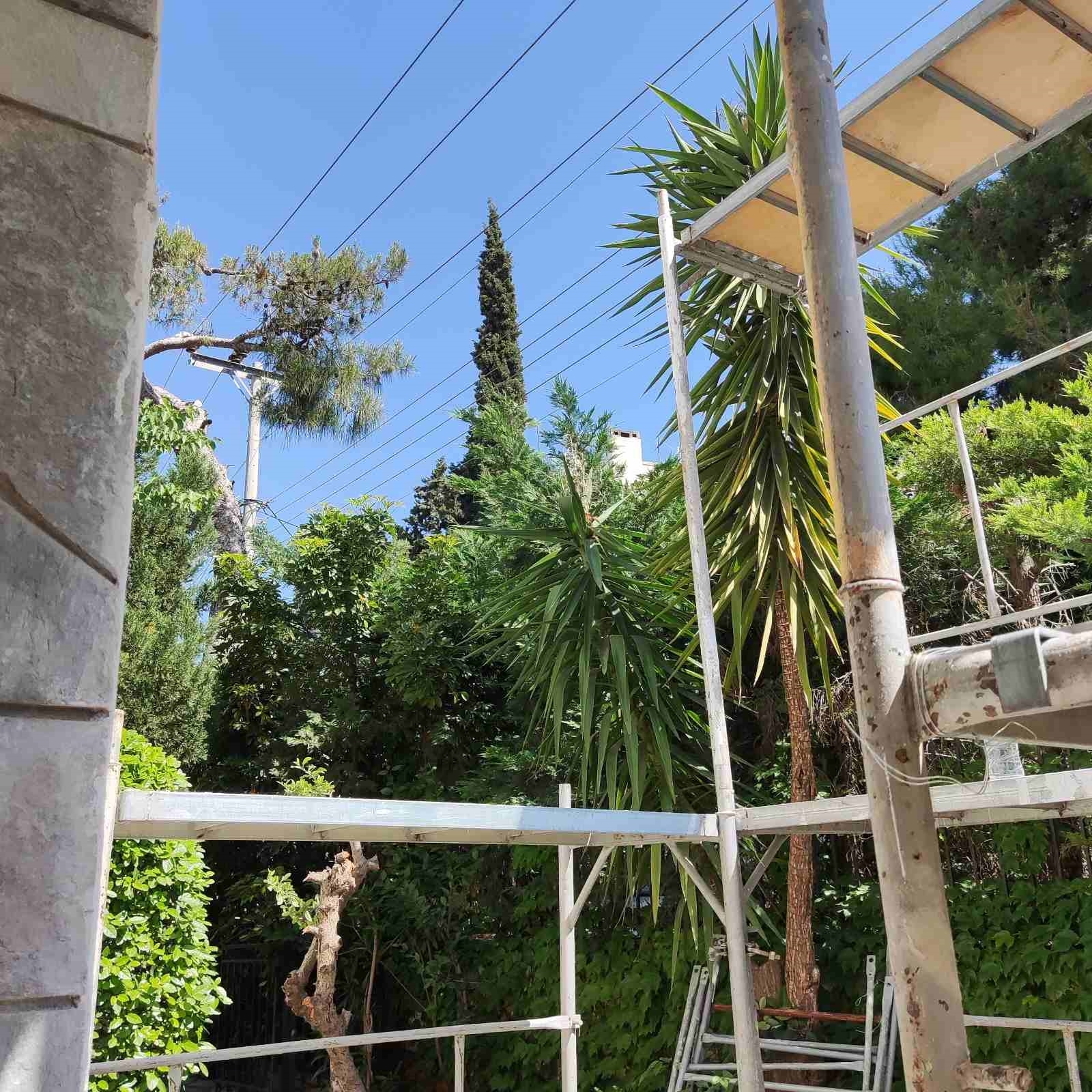 Picture of Κολοκοτρώνη, Βούλα