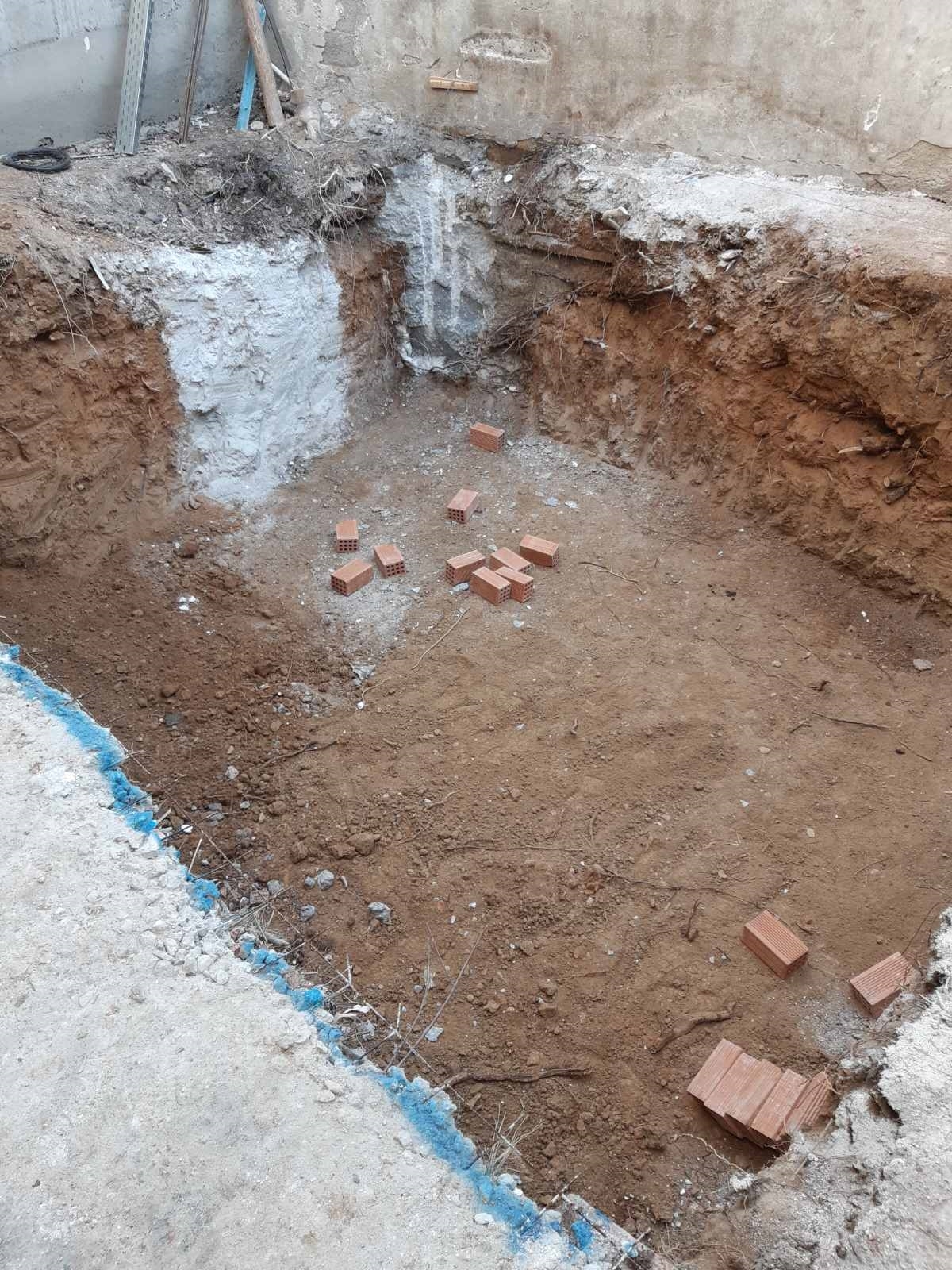 Picture of Χρυσολωρά, Περιστέρι