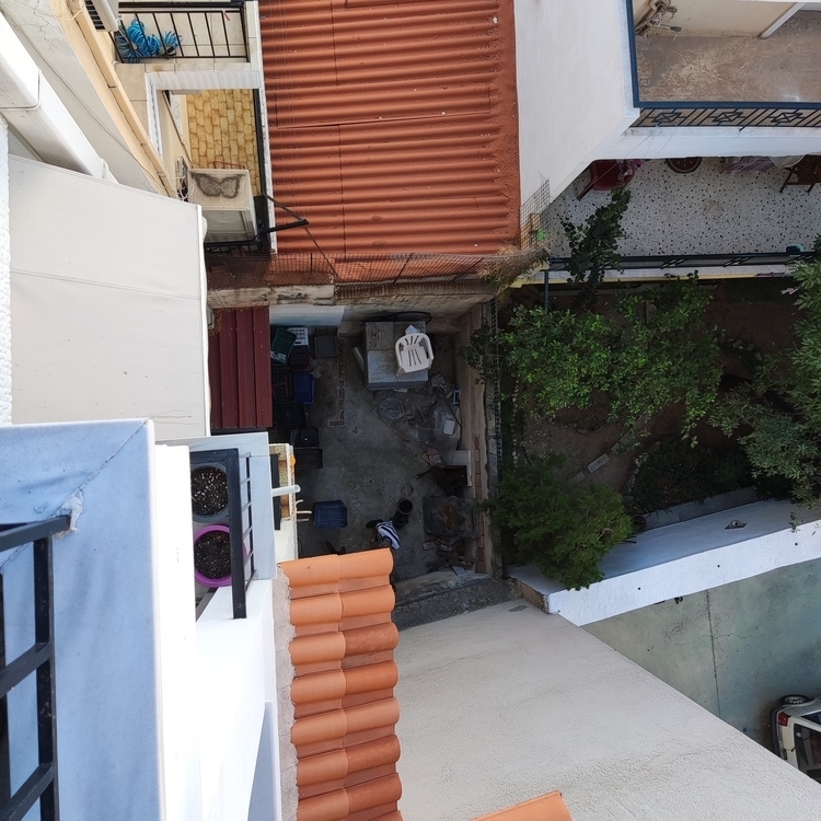 Picture of Ασκληπιού, Κορυδαλλός
