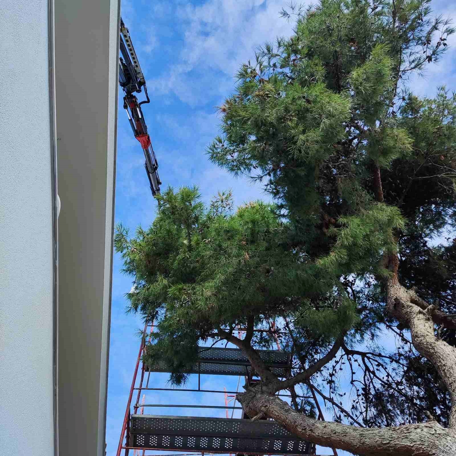 Picture of Γερουλάνου, Άλιμος