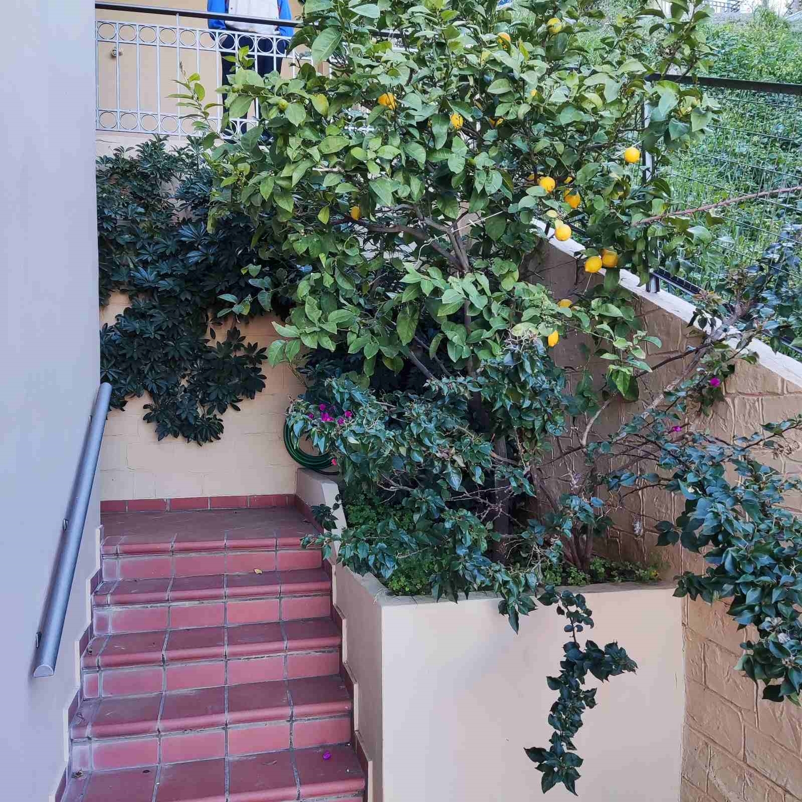 Picture of Λεωνίδου, Βούλα